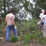 2006 Arboretum Beautification Day