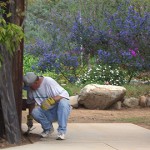 2006 Arboretum Beautification Day