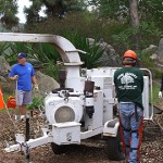 2006 Arboretum Beautification Day