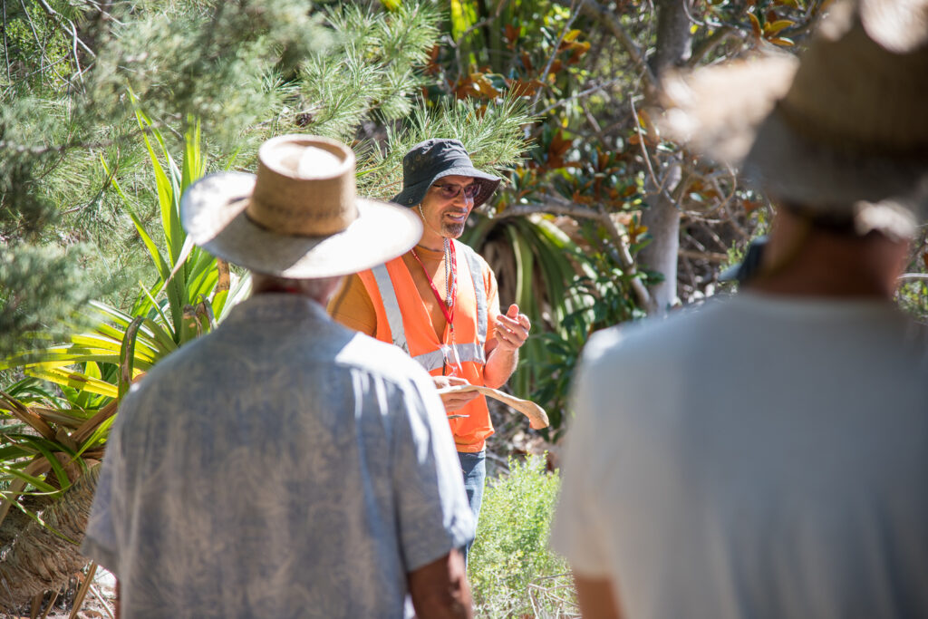 President of the Friends of the Edwin and Frances Hunter Arboretum shares the incredible stories of the plants we house in the Arboretum.