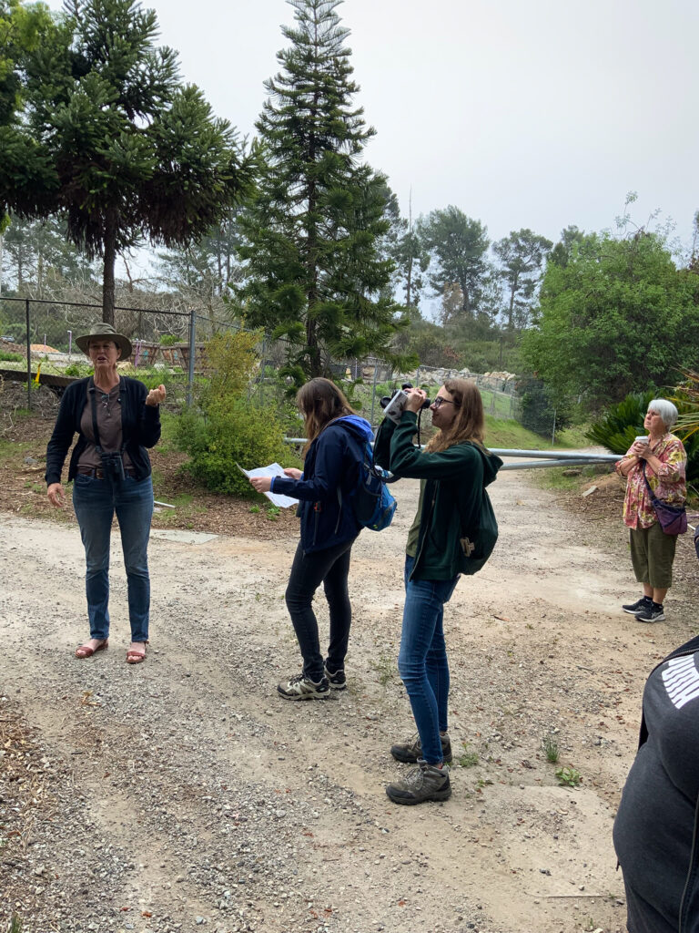 Professor Beth Pearson helps Arboretum-goers to identify some of the local species of birds