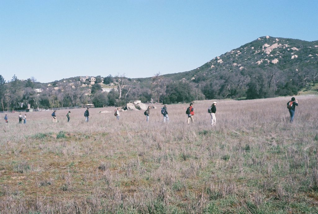 Archaeological Survey Crew in Action
