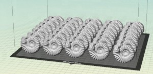 35 digital Ammonite objects