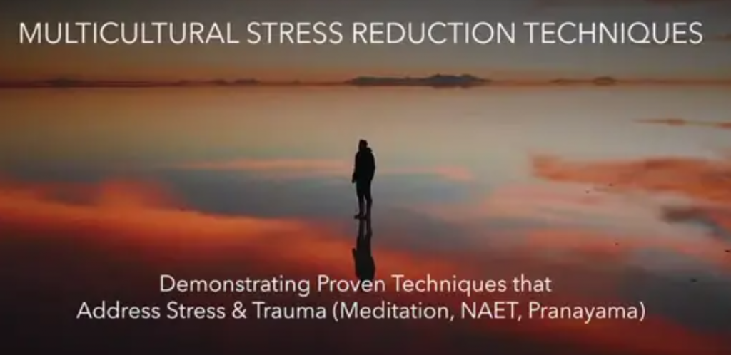Multicultural Stress Reduction Techniques: Video 6