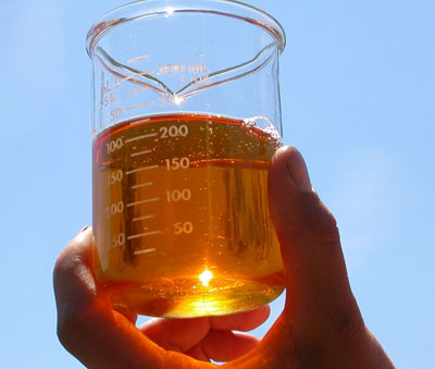 Biodiesel-Hand