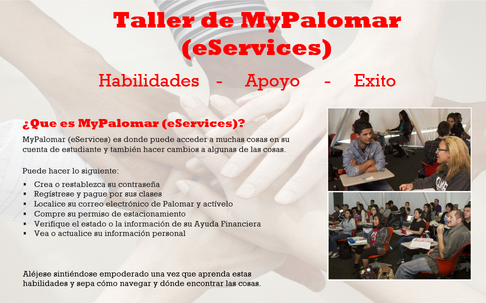 MyPalomar Taller