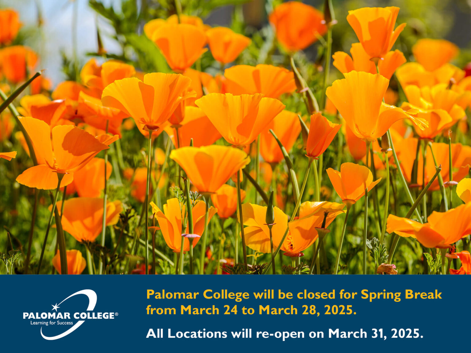 Tuition and Fees Palomar College Fiscal Services