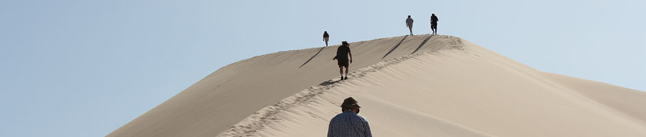 Students climbing a sand dune