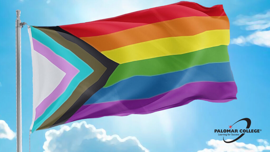 Pride Progress Flag with logo