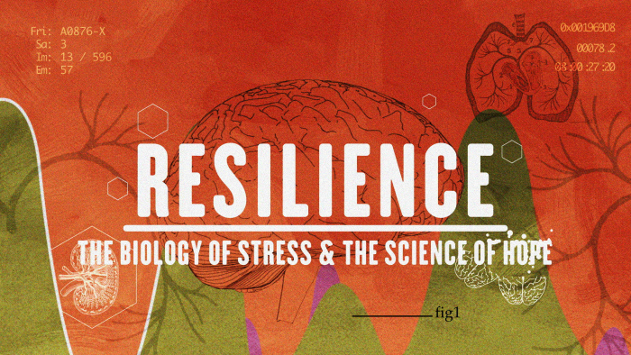 Resilience image