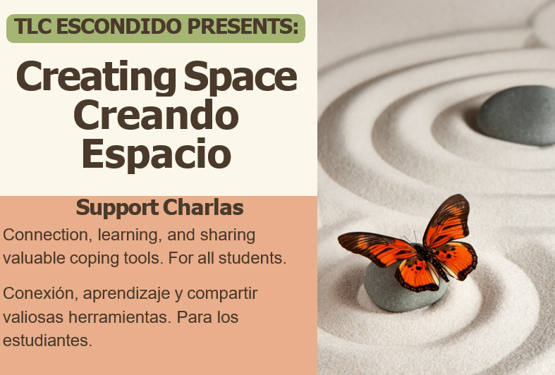 Orange butterfly sitting on rock in sand with flyer details for Creating Space Creando Espacio