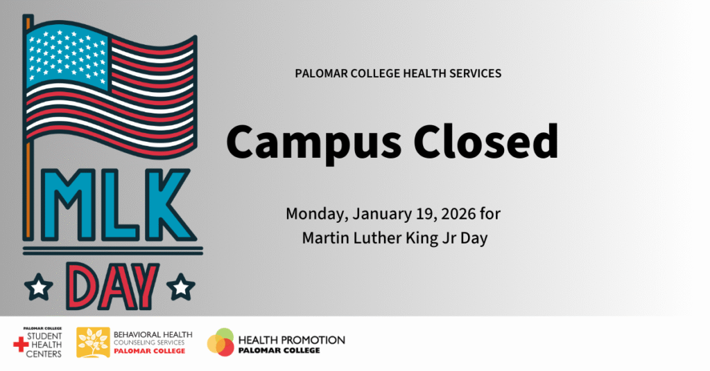 American flag featured left on grey background with text about MLK Day holiday