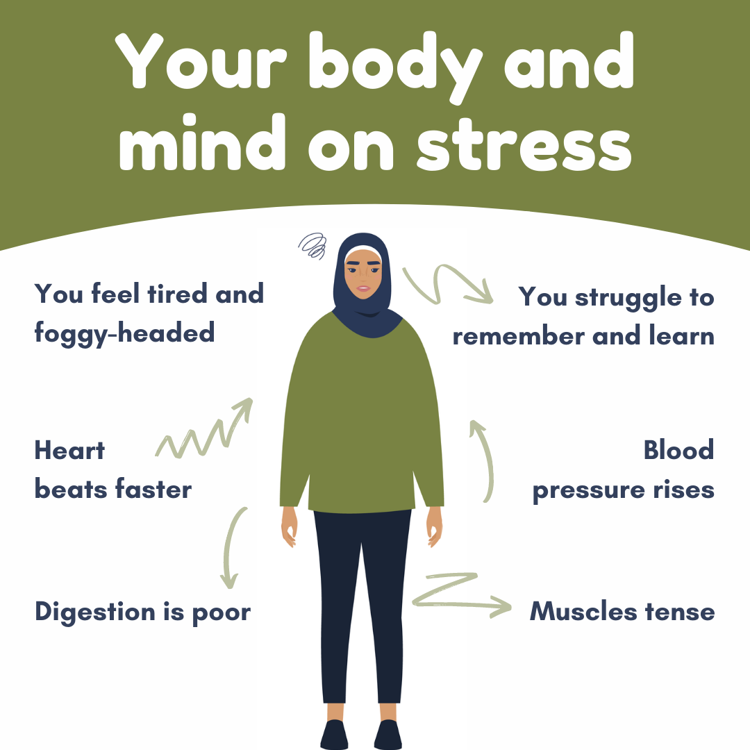 Your body & mind on stress
