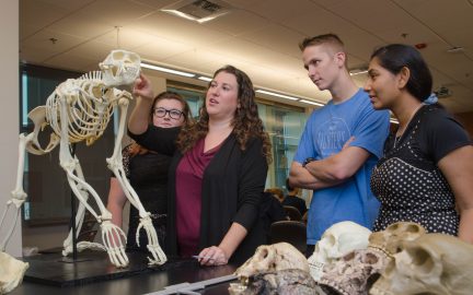 Students looking at animal fossils and skulls