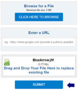 Your file will show in the box and you can then click submit