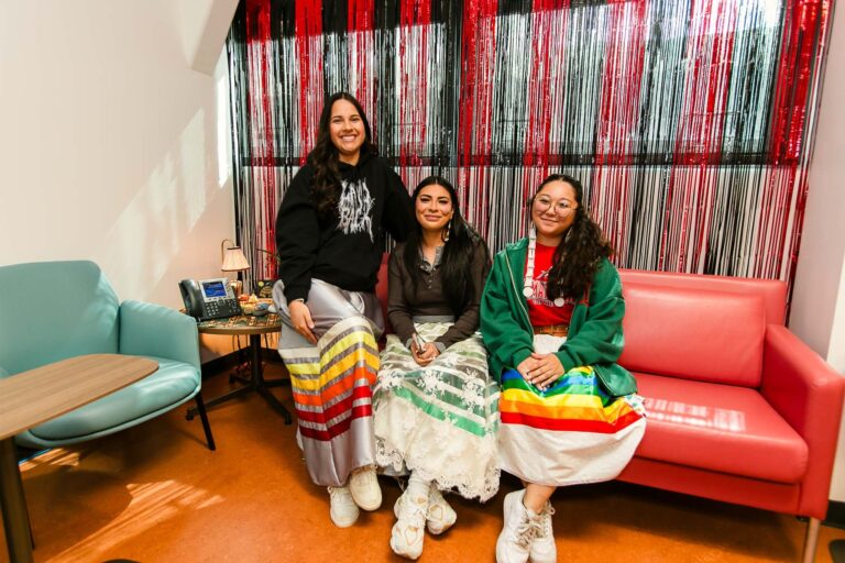 NSPIRE Program – Native Student Support Program for Inclusion ...
