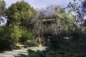 Palomar College Arboretum sign at entrance