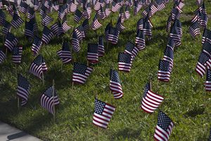 Grass lawn filled with small US flags