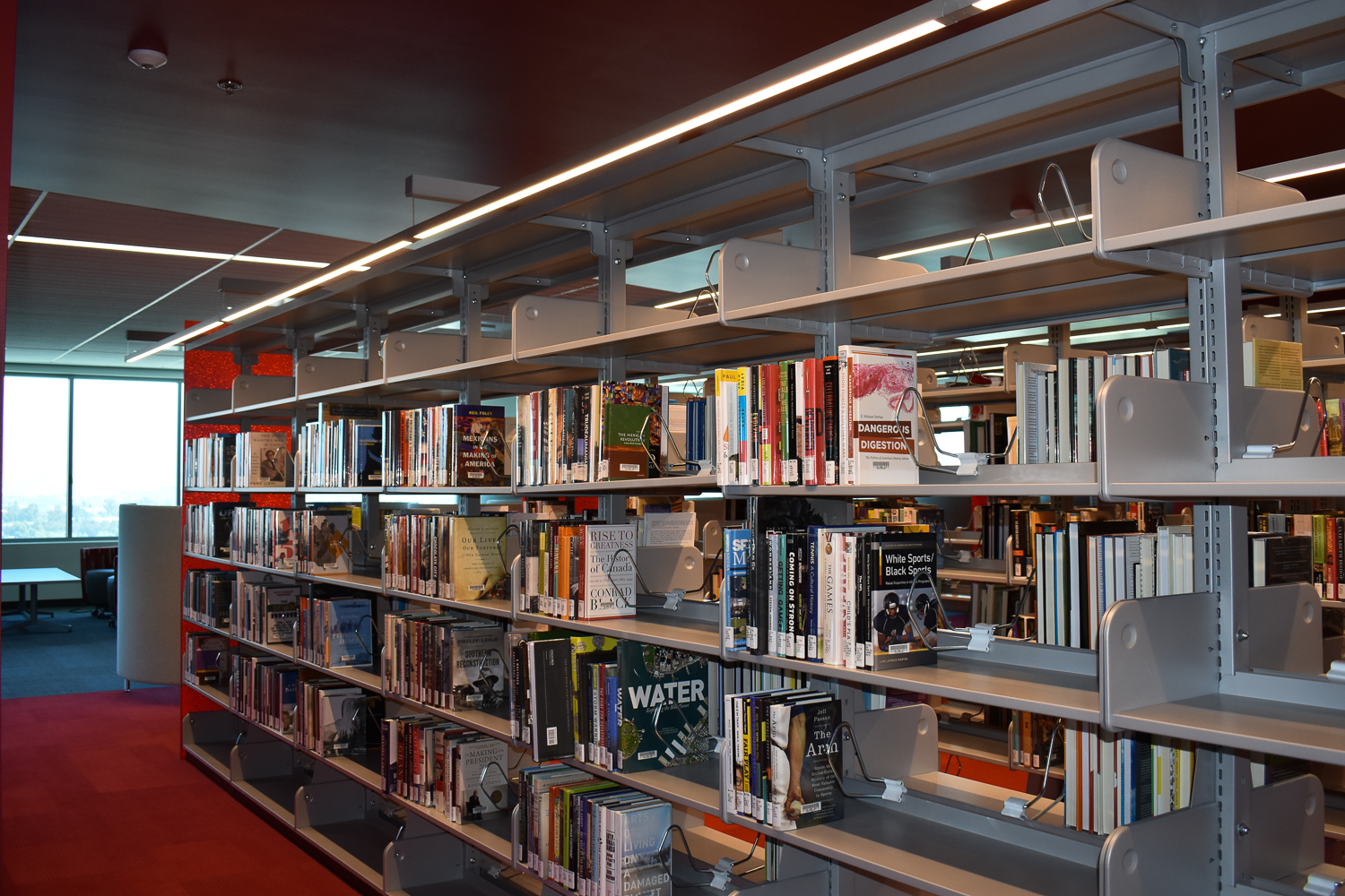 Books on shelves in the library