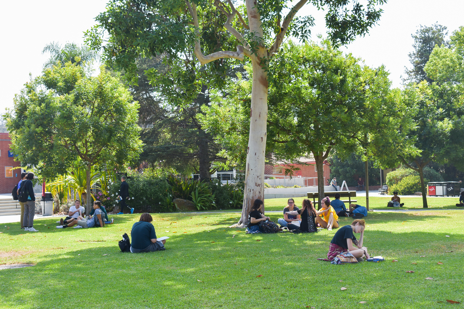 Students sitting on the campus lawn in the shade