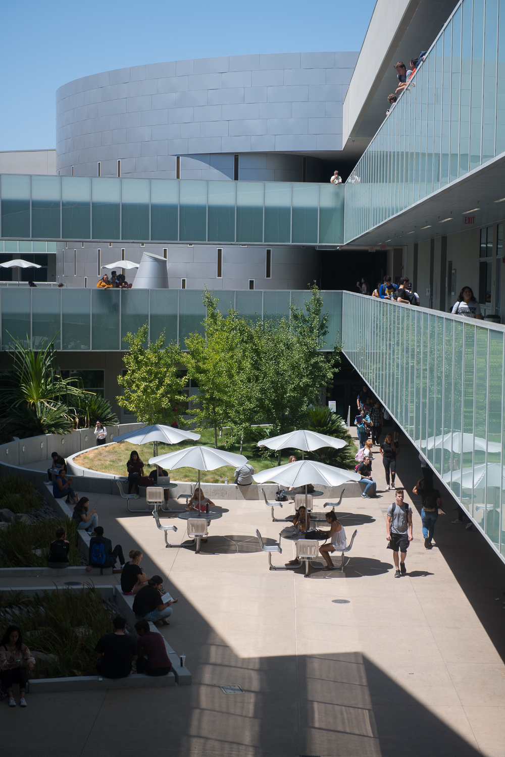 Students hanging out and walking through campus