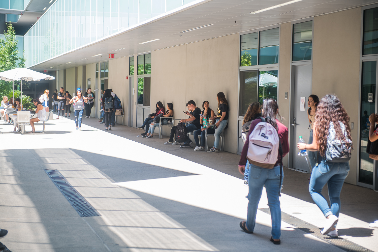 Students hanging out and walking through campus