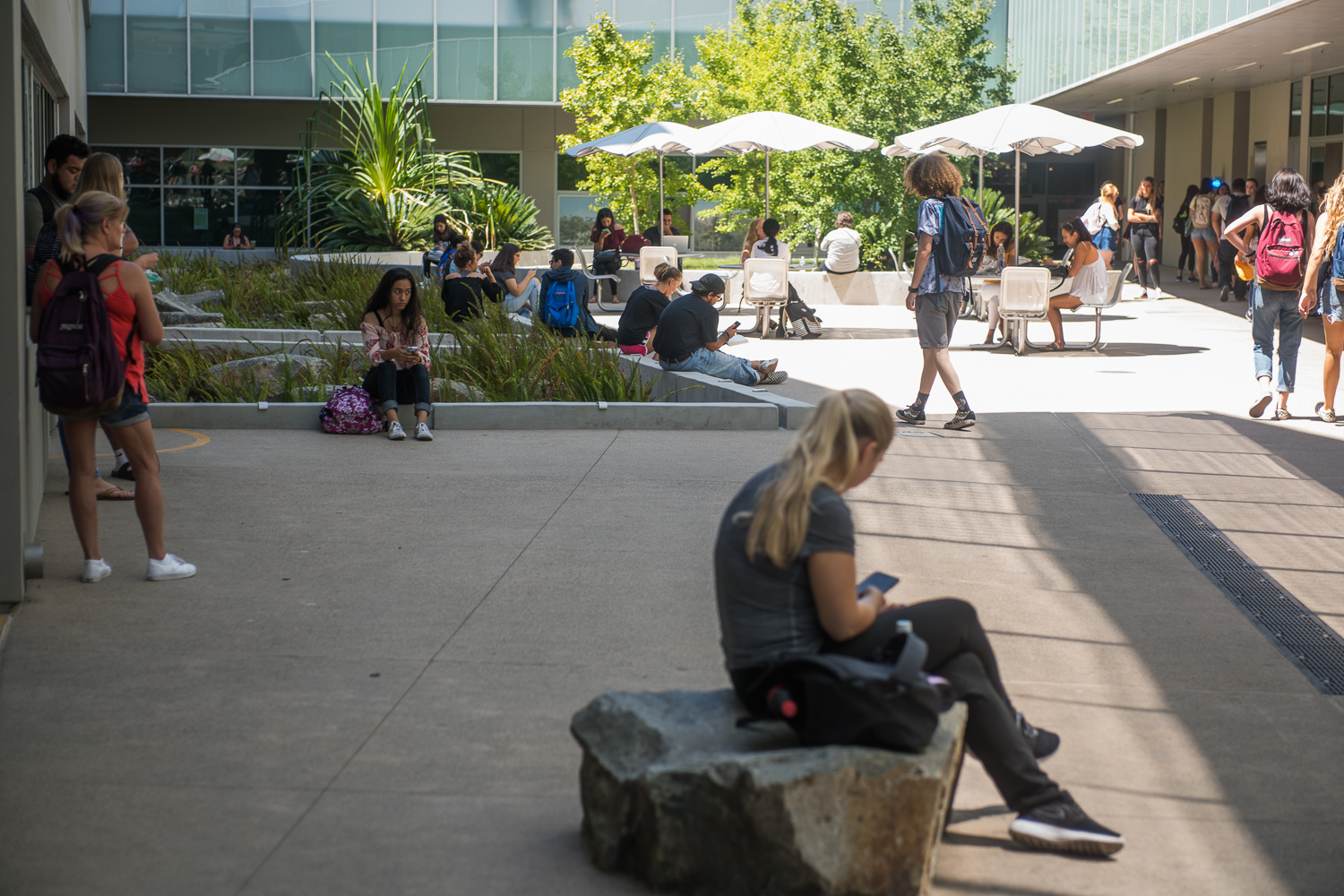 Students hanging out on campus