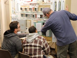 Electrician students in the Electrician Training Center