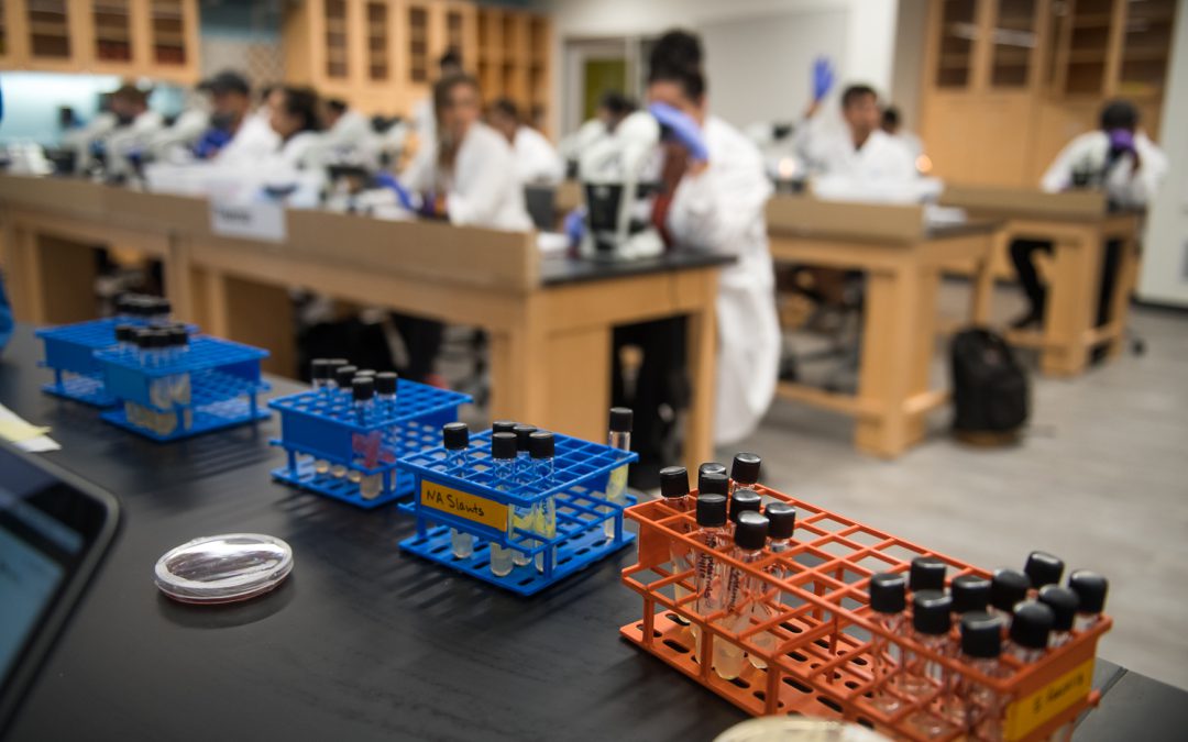 Biology class/lab with test tubes in foreground and students in lab coats at tables in the background
