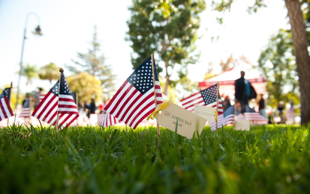 U.S. flags on grass.