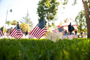 U.S. flags on grass.