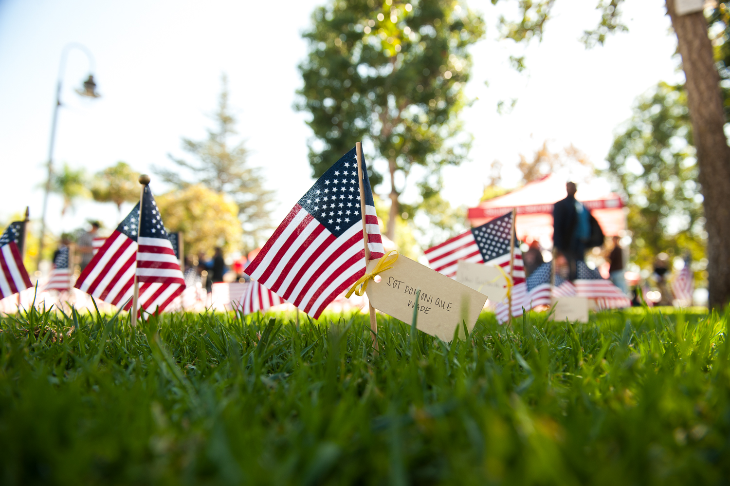 U.S. flags on grass.