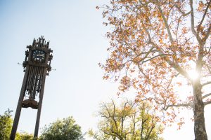 Clocktower on campus surrounded by trees
