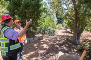 Construction workers in hard hats and vests standing on an arboretum trail