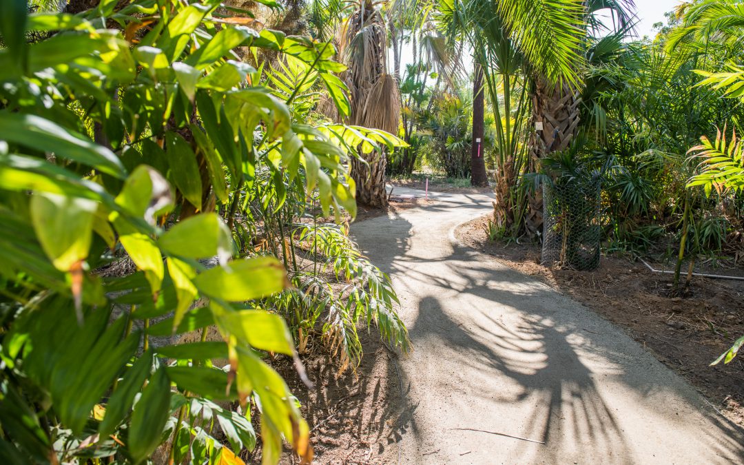 Arboretum Tour Set For May 7 Following Volunteer Clean-Up Effort
