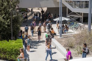 Busy campus filled with students talking and walking