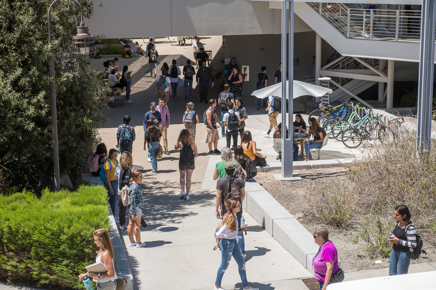 Students Return to Campus as Fall Semester Arrives at Palomar Palomar