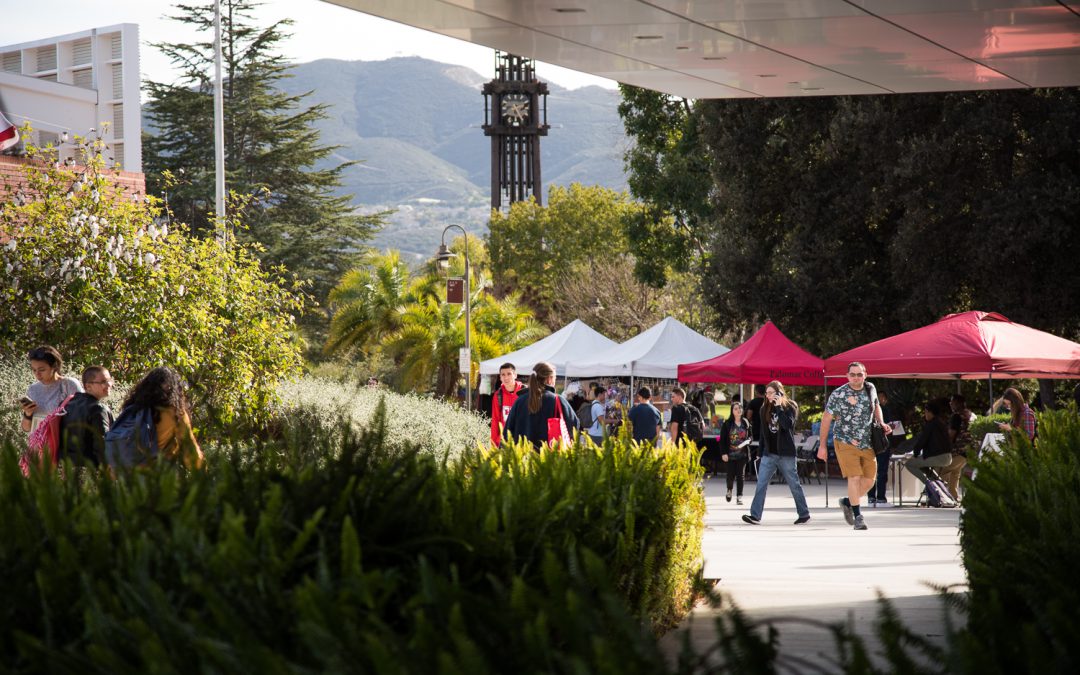 Image of Palomar Students at Campus