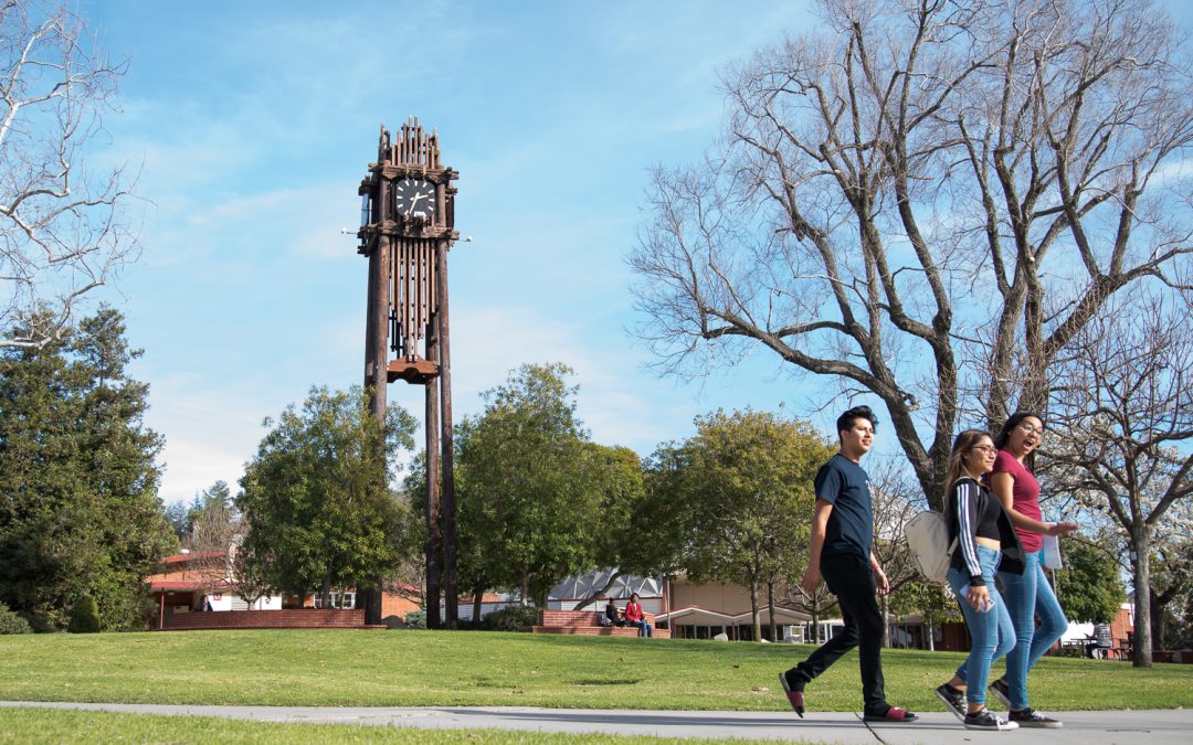 Palomar College Governing Board Begins Redistricting of Trustee Areas