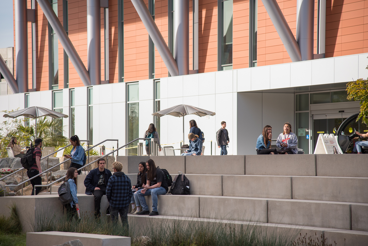 Students hanging out on campus in between classes