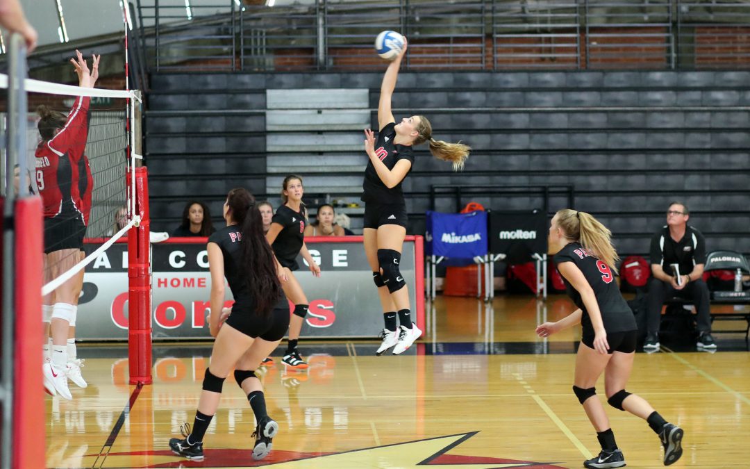 Palomar’s Governing Board Adopts Student Athlete Vaccination Mandate