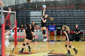 Palomar women's volleyball team playing game in the gym