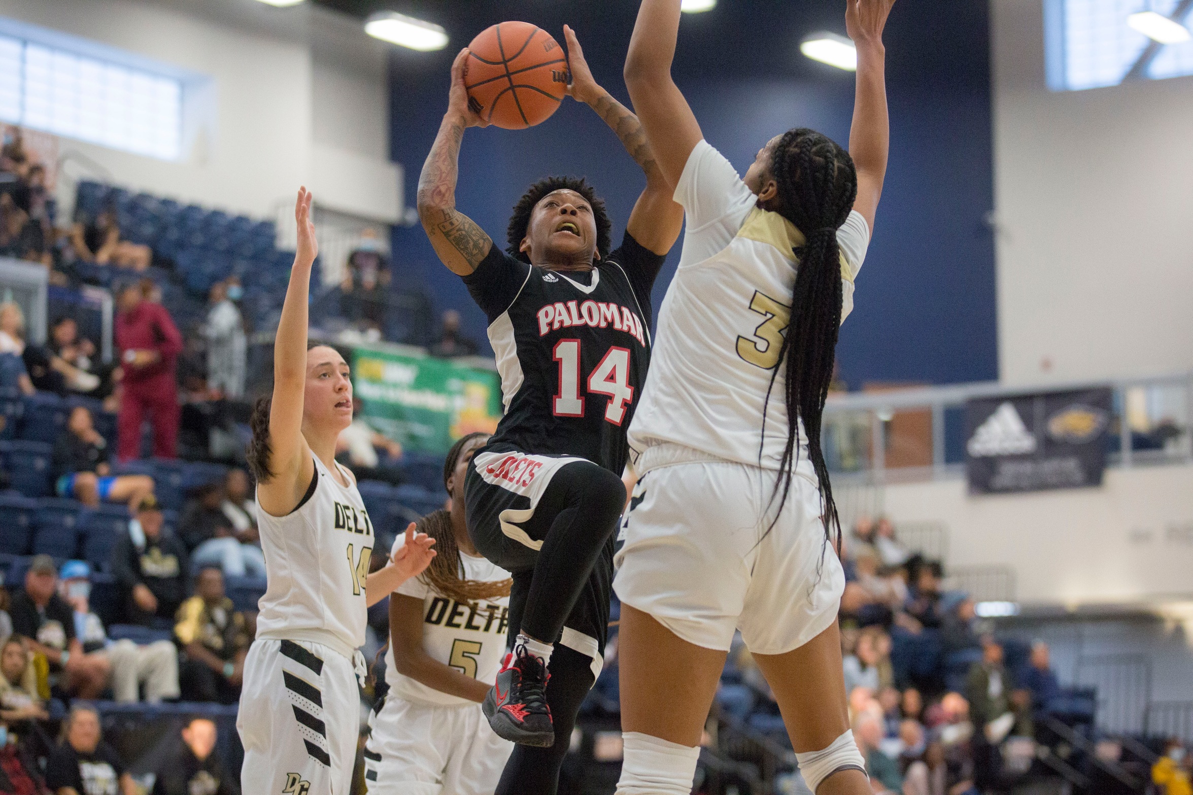 Women s Basketball Team At Palomar Finishes Stellar Season Palomar News