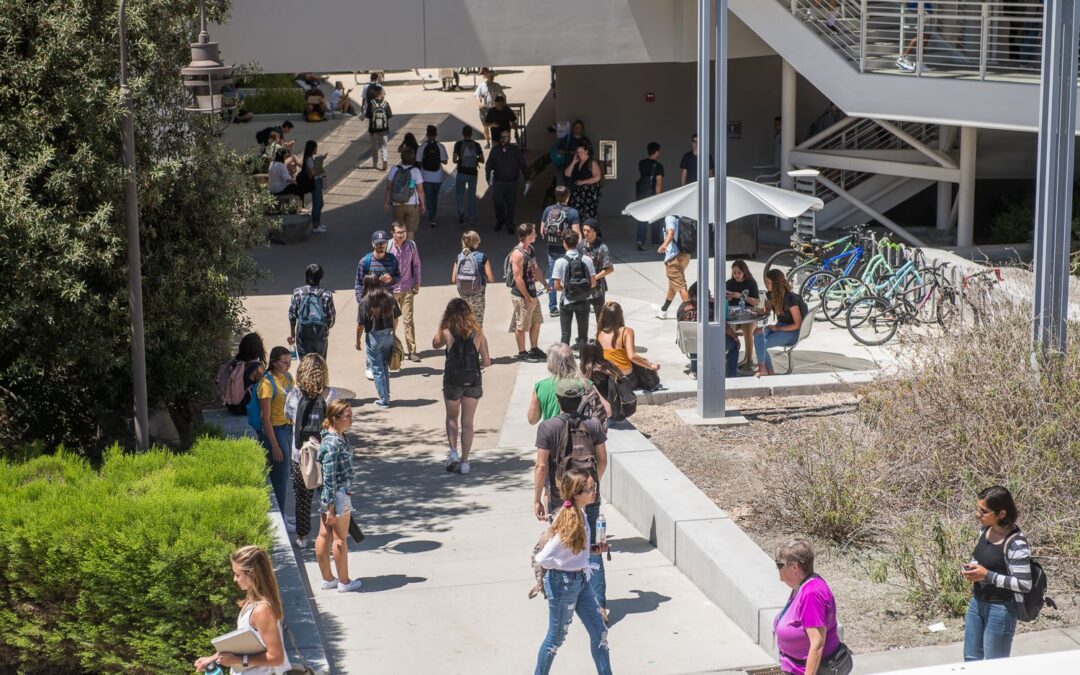 Palomar Students on campus