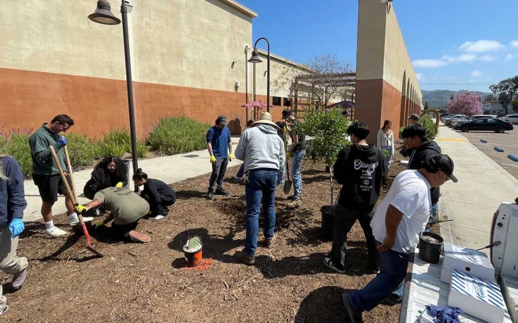 Palomar College Employees celebrate earth day with the planting of trees and shrubs.