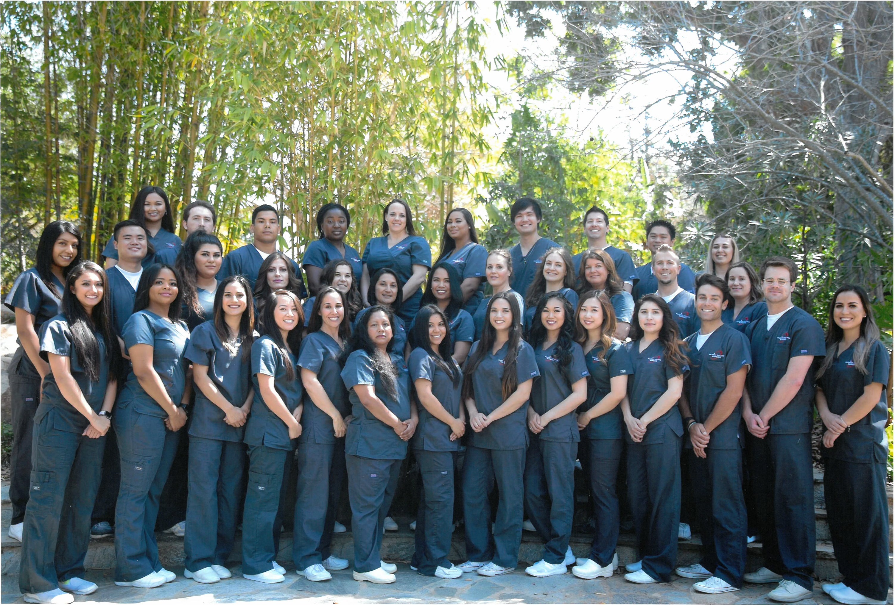 palomar college nursing spring 2019