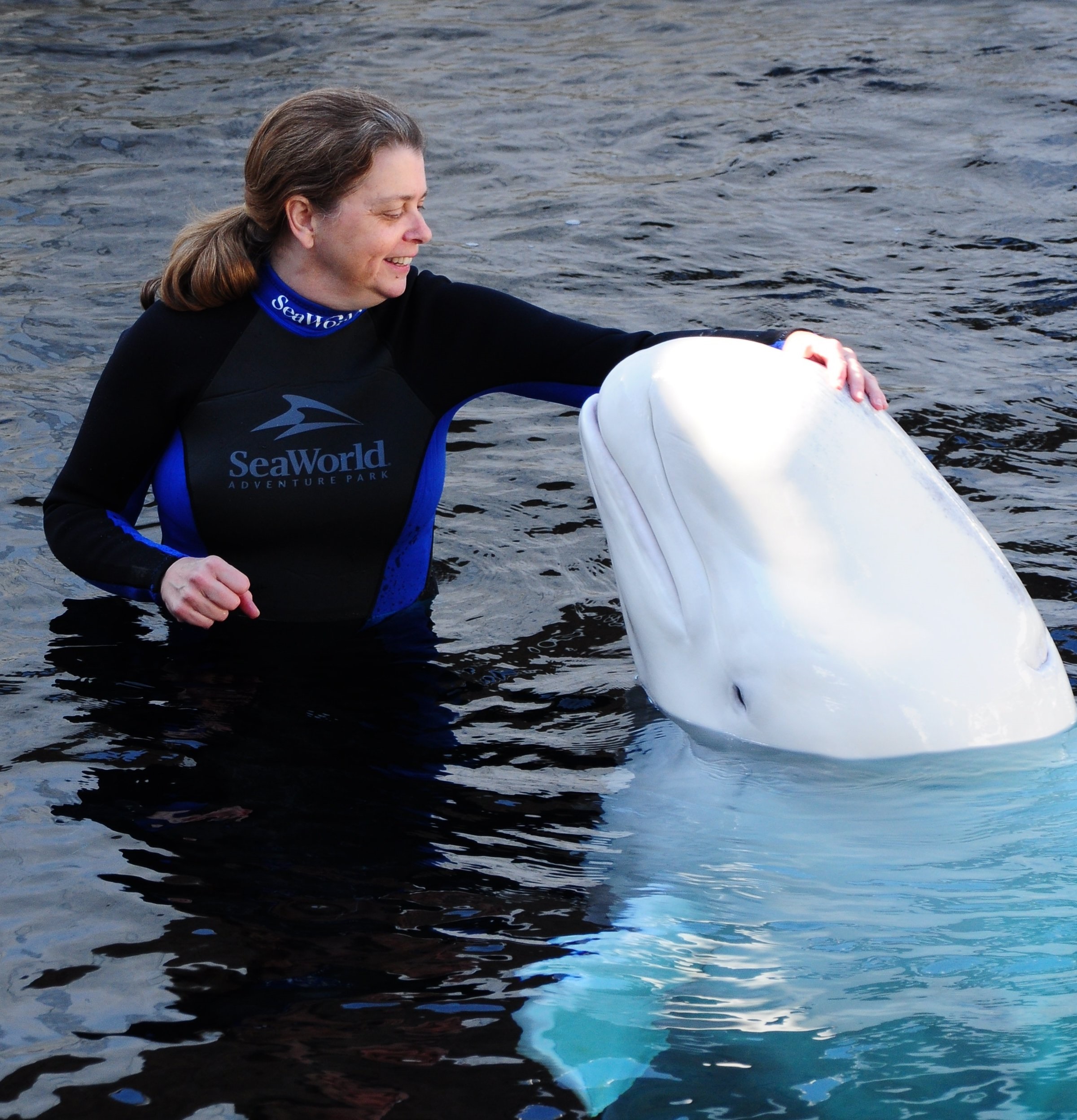 Dr. Lisa Yon : Professor, Earth, Space and Environmental Sciences