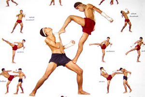 Overwegen of pijpleiding Muay Thai (kickboxing) | iTravel2Learn