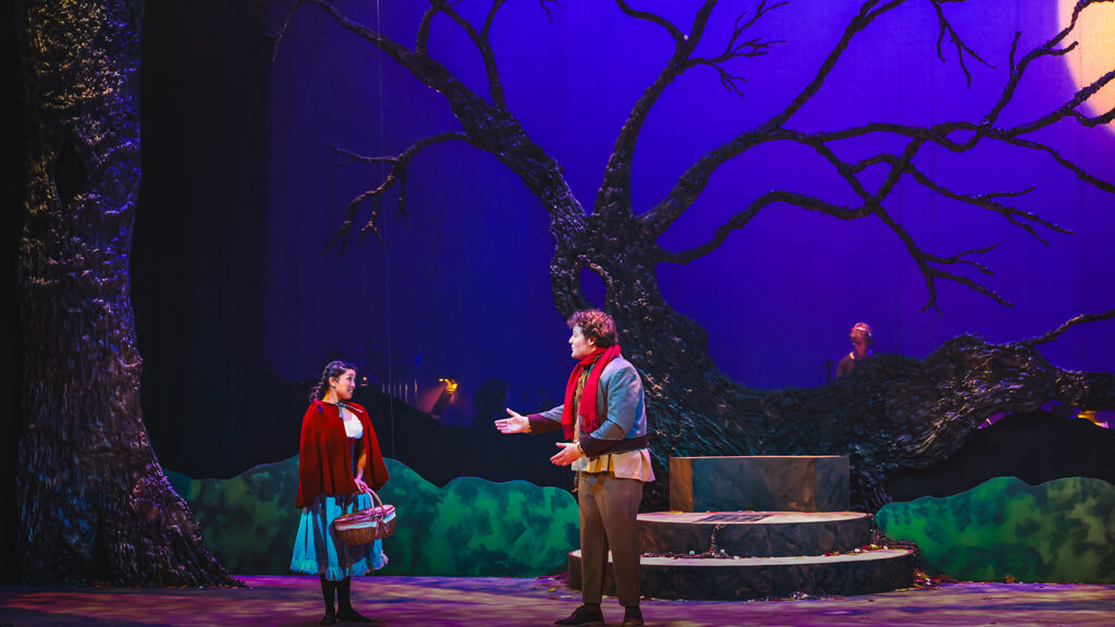 A photo from the production "Into the Woods". In a dark forest stands Little Red and Baker.