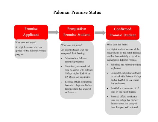 Explanation of Promise statuses. Visit the Next Steps page for more details. 